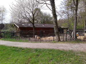 Lehrbienenstand BZV Rossdorf