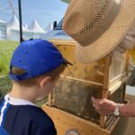 Findest Du die Königin? Gar nicht so einfach, bei so vielen Bienen.